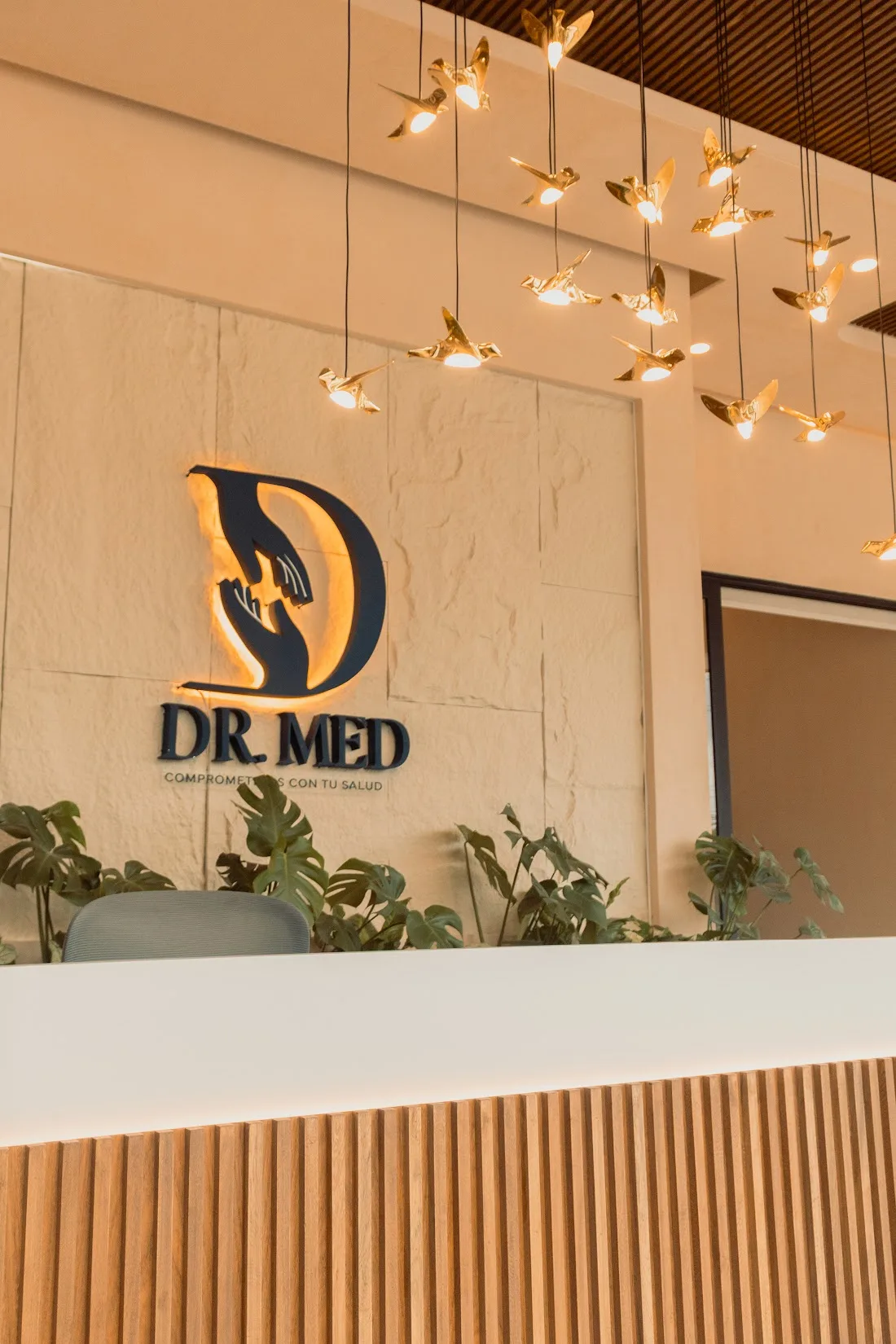 Recepción de Dr. Med