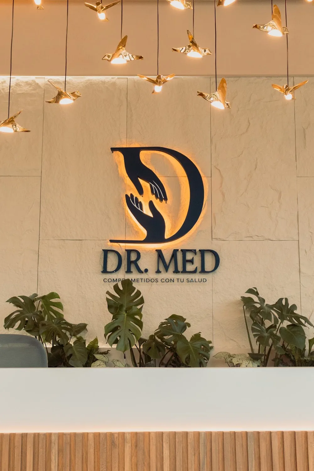 Recepción de Dr. Med